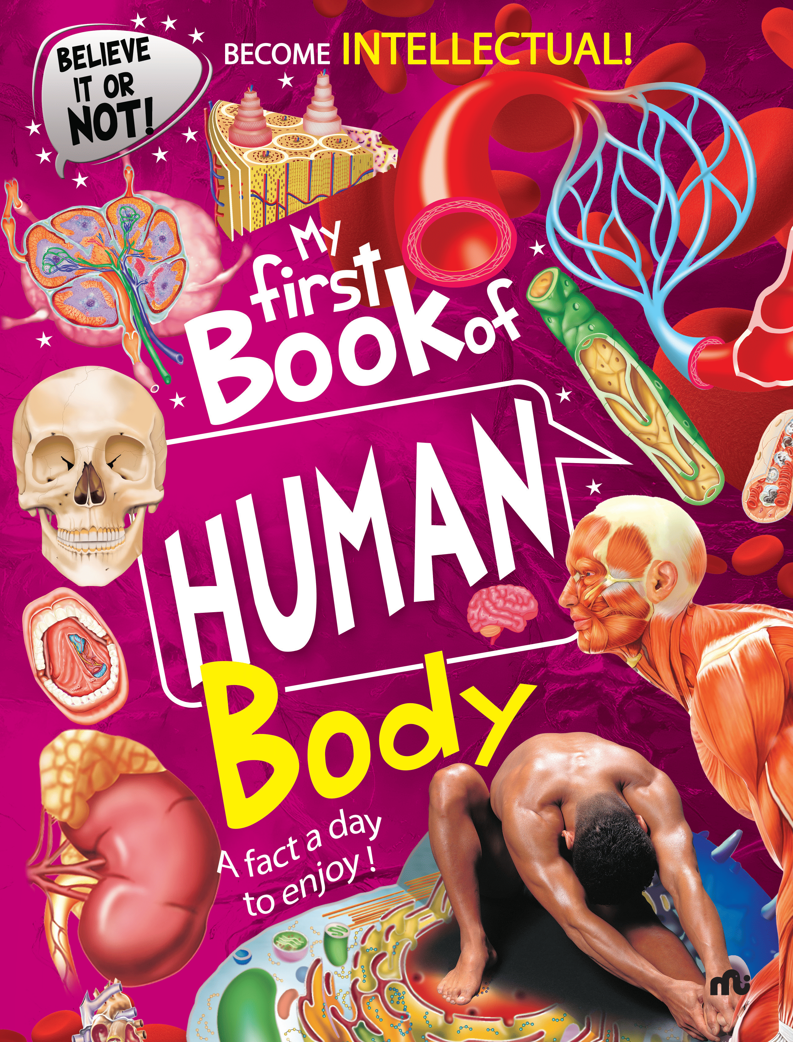     			My First Book of Human Body