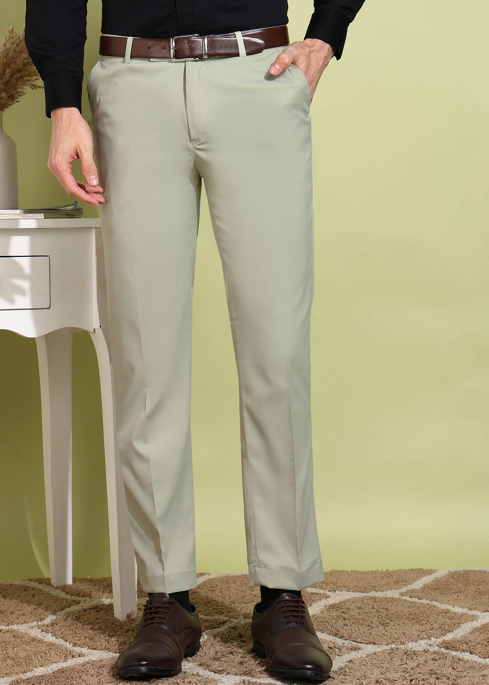     			ADWYN PETER Regular Pleated Men's Formal Trouser - Light Green ( Pack of 1 )