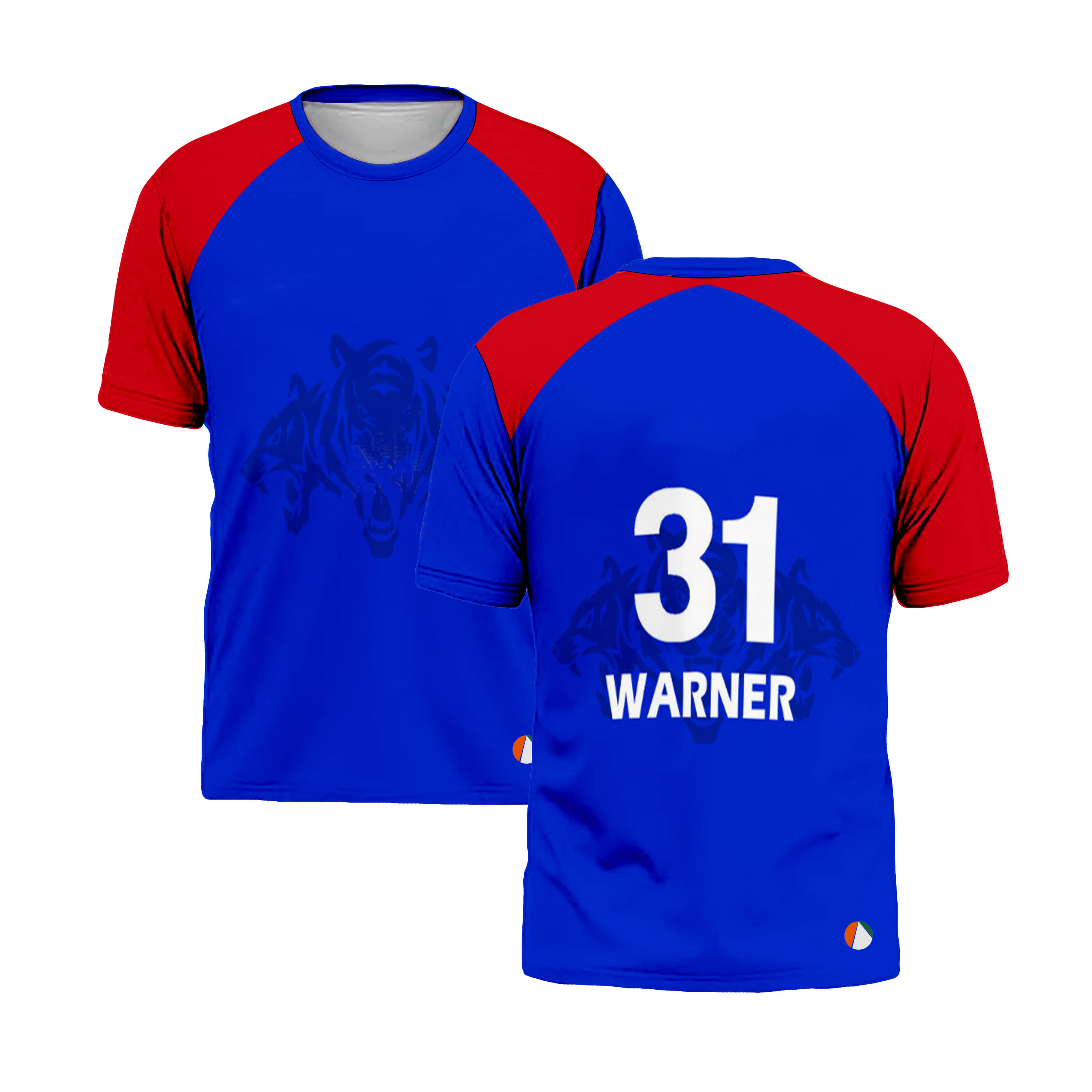 THE BLAZZE Sports India IPL Cricket Team T Shirt Jersey For MensFor Delhi DC Warner 31 - Sports and Fitness Equipment | Buy online on ZillyBuy