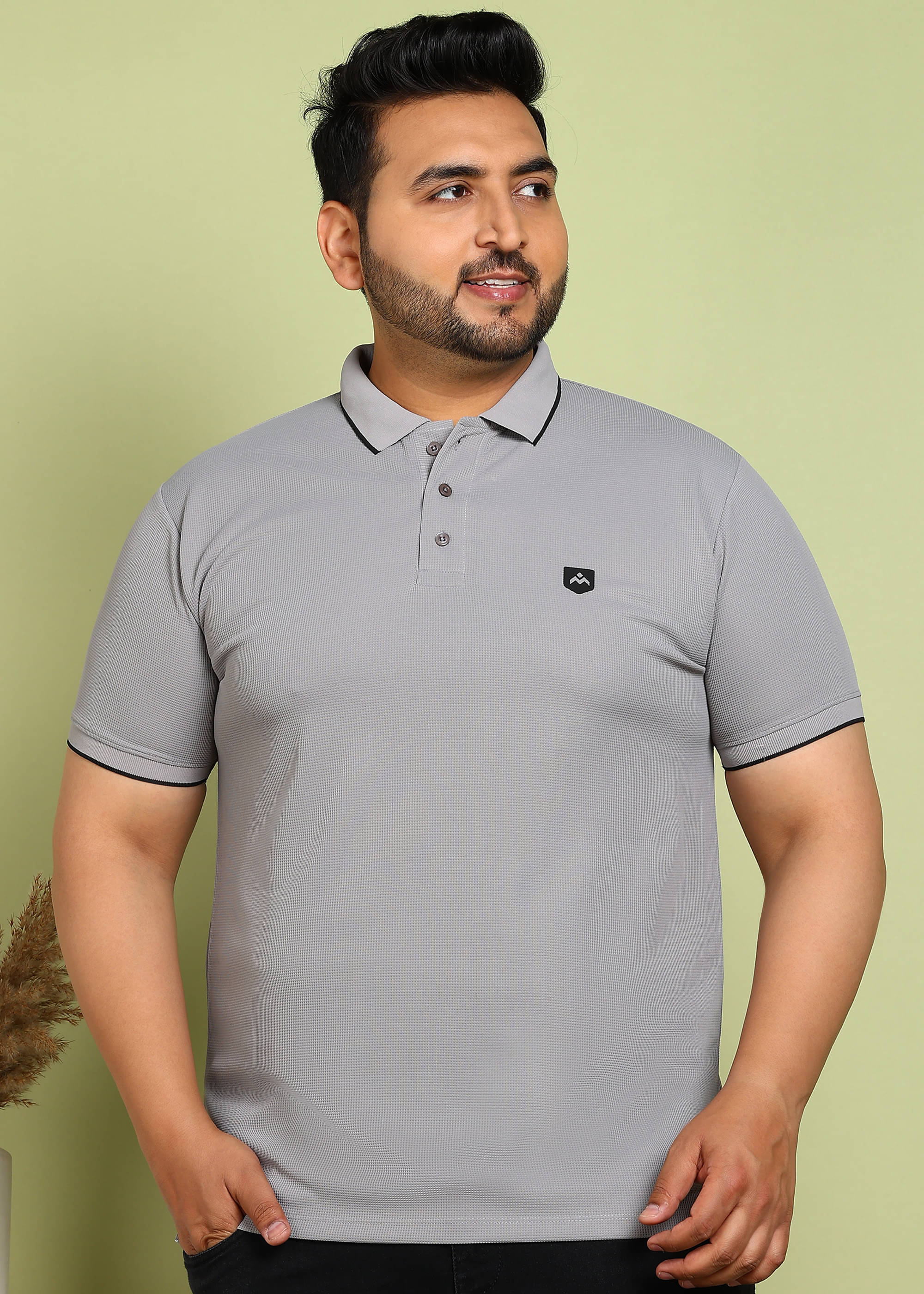     			ADWYN PETER Pack of 1 Cotton Regular Fit Solid Half Sleeves Men's Polo T Shirt ( Light Grey )