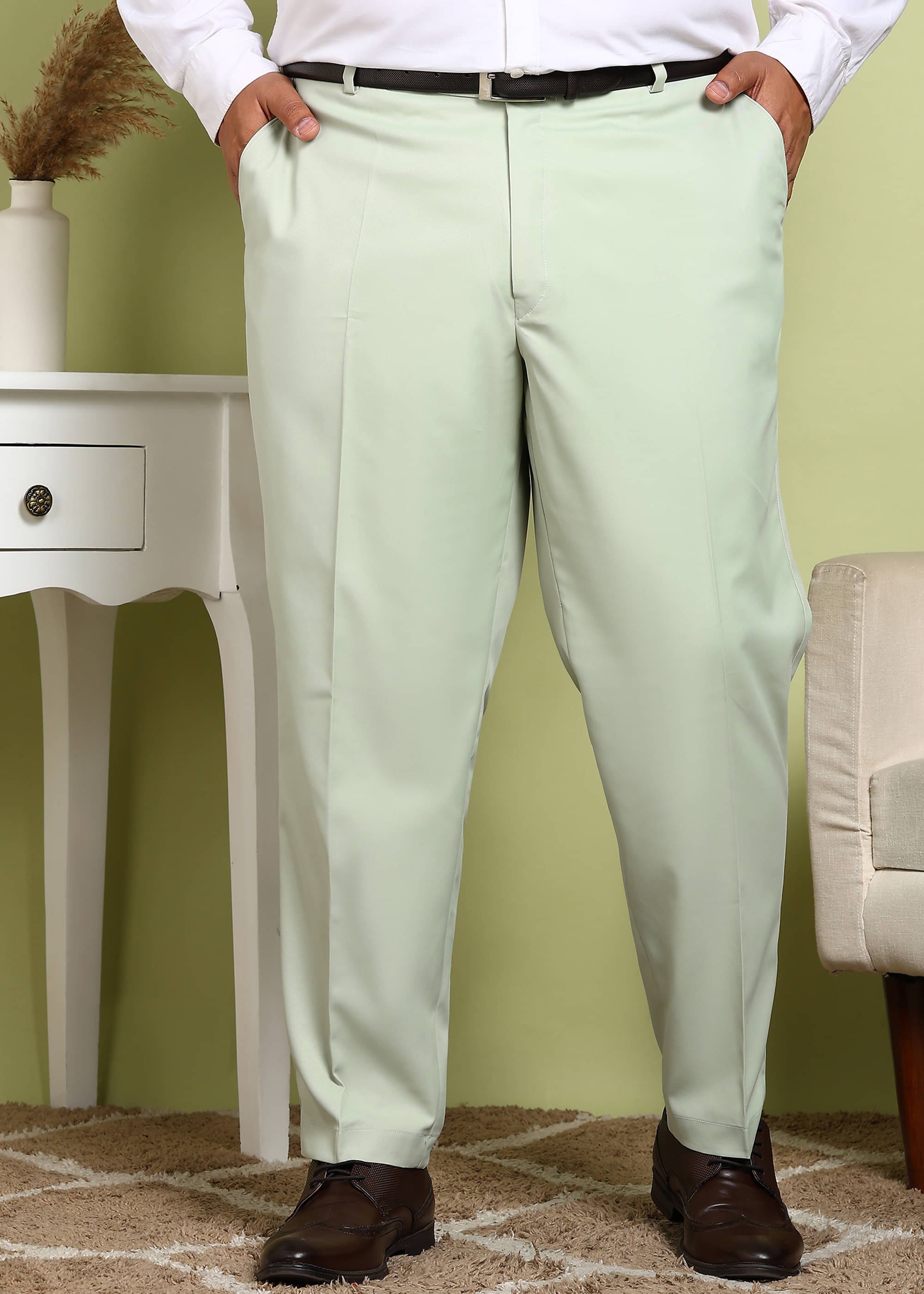     			ADWYN PETER Regular Flat Men's Formal Trouser - Light Green ( Pack of 1 )