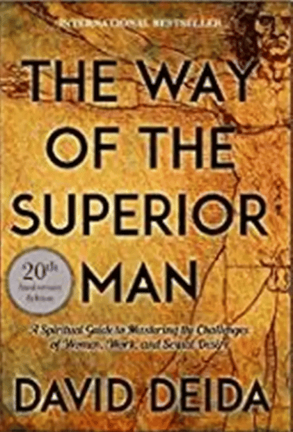     			The Way of the Superior Man  (English, Paperback, David Deida)