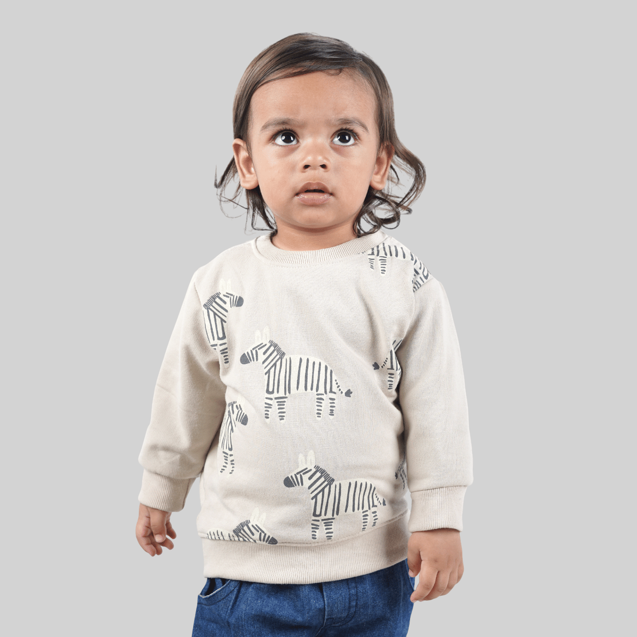     			Kidzee Kingdom Pack of 1 Baby Girls Cotton Sweatshirt ( Grey )