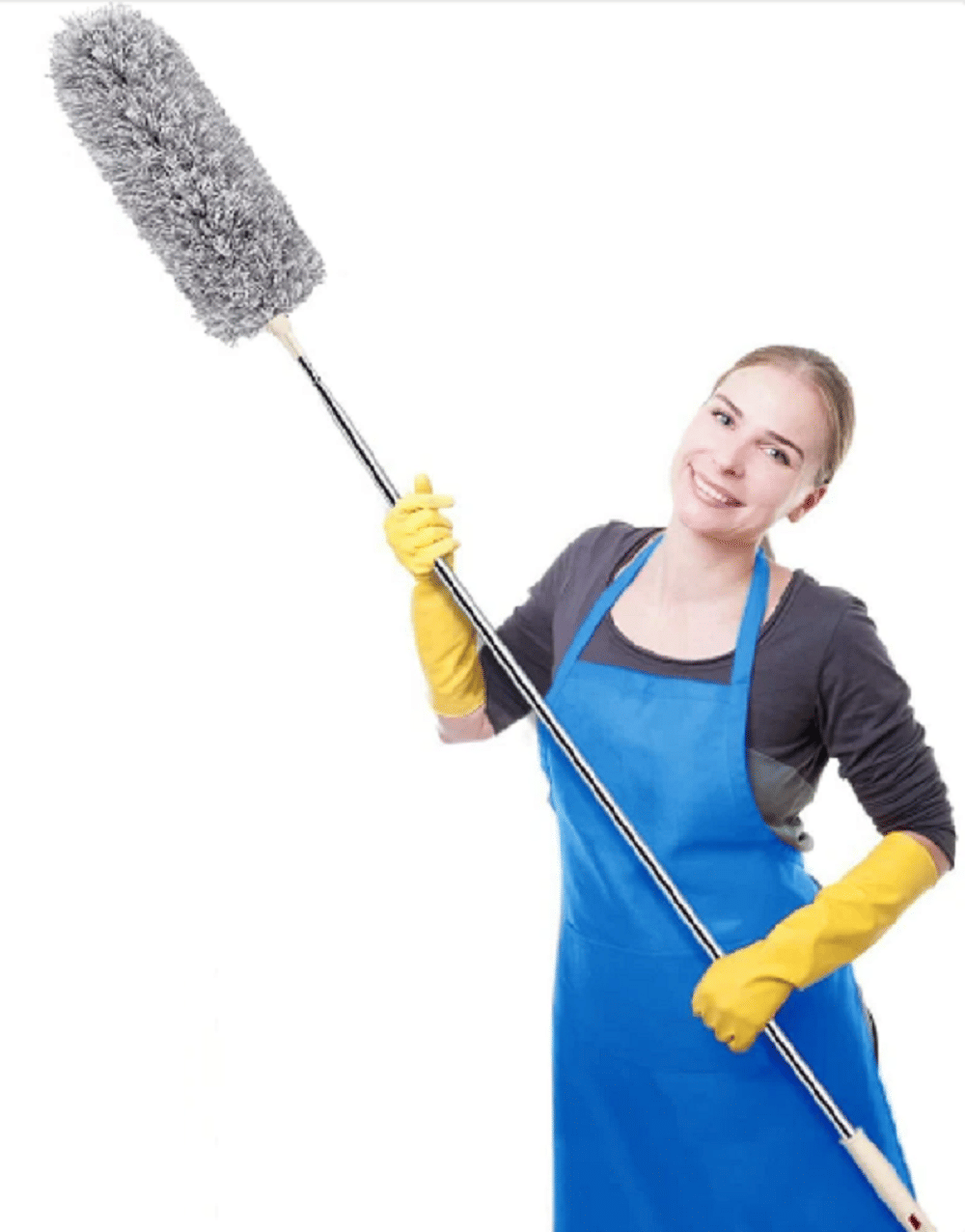 Qin Pin Microfibre Household Cleaning Microfiber Duster ( Pack of 1 ) Qin Pin Microfibre Household Cleaning Microfiber Duster ( Pack of 1 )