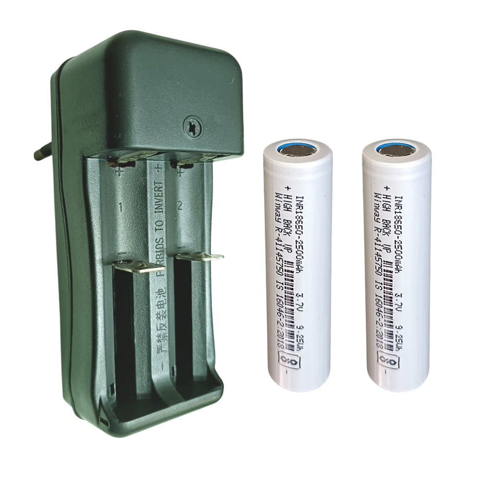 CONSONANTIAM Dual Slot Charger 1 with 2-Cell, 3.7 Volt 2500 mAH Winway Lithium Rechargeable Battery use for Led Light, Bluetooth Speaker, Power Bank, Trimmer, Laptop, Battery Student Project Etc. - Sports and Fitness Equipment | Buy online on ZillyBuy