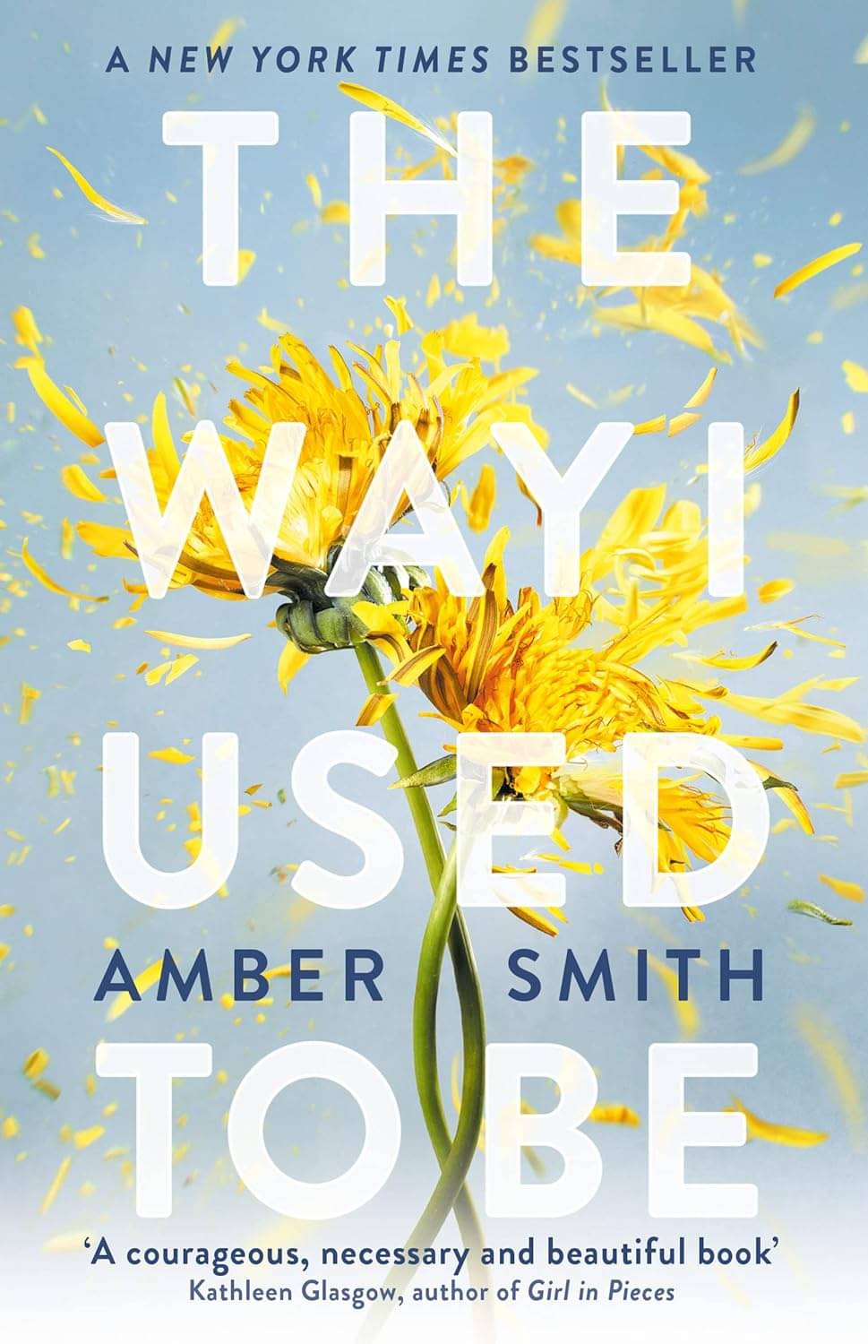     			The Way I Used To Be By Smith Amber