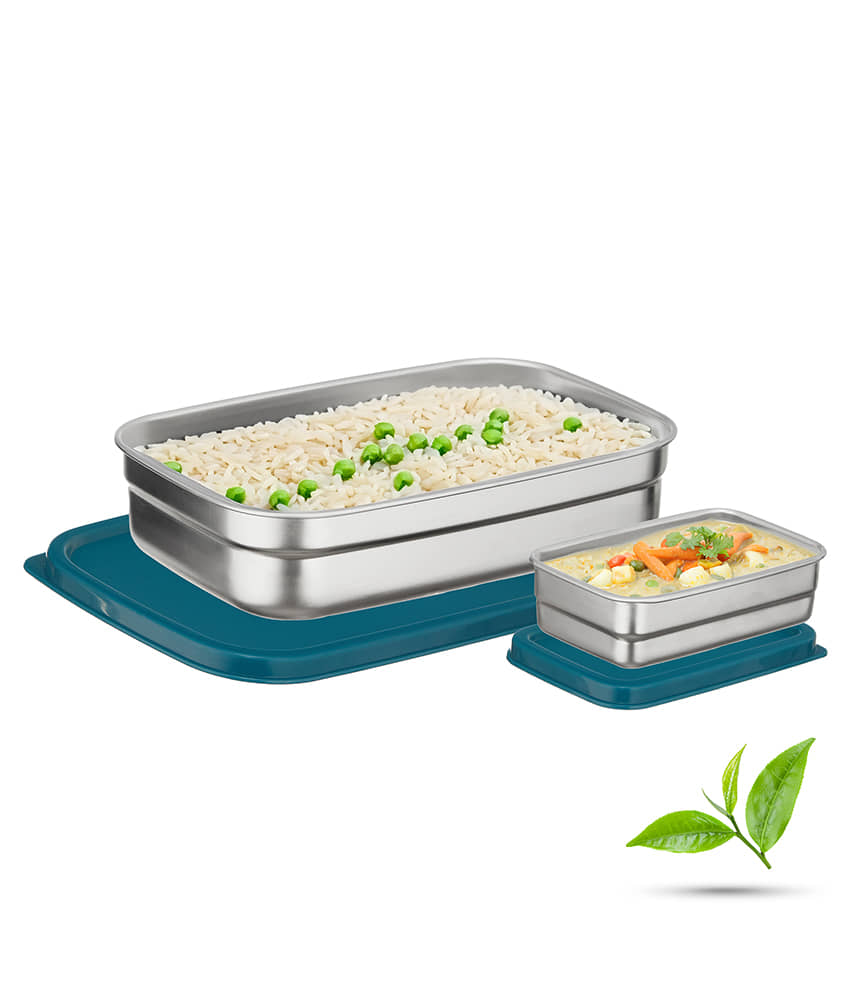 Trueware Bent Steel Stainless Steel School Lunch Boxes 2 - Container ( Pack of 1 )