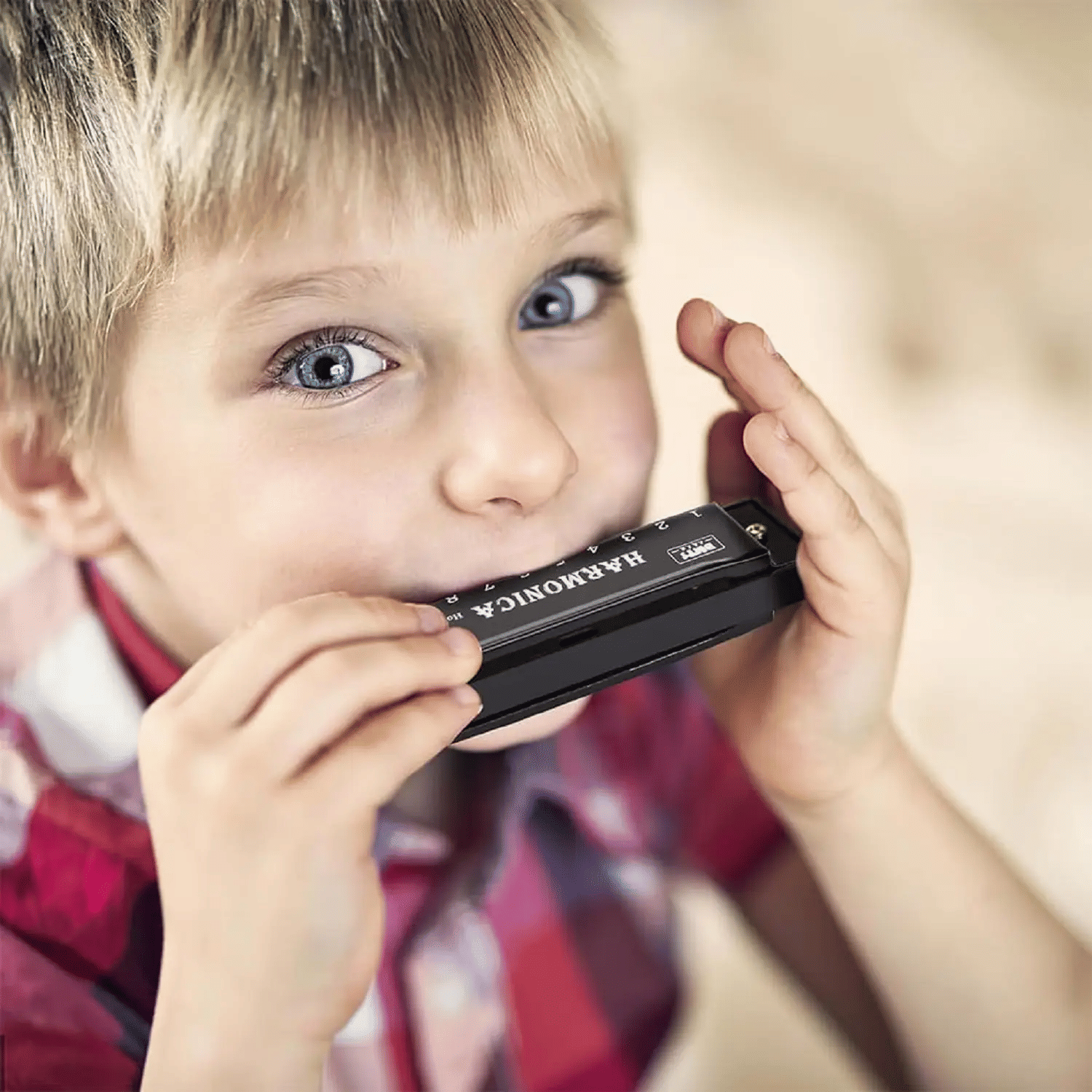 Kadio Harmonica Mouth Organ Musical Instrument, Core Mouth Organ Gift ...