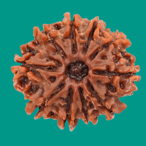     			NAVYAKSH Pooja Mala 1 ( Pack of 1 )