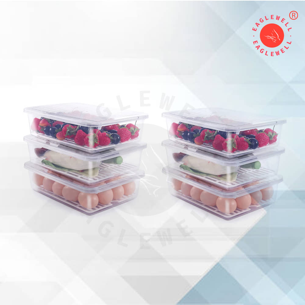 EagleWell Fridge Container Plastic Transparent Food Container ( Set of 6 )