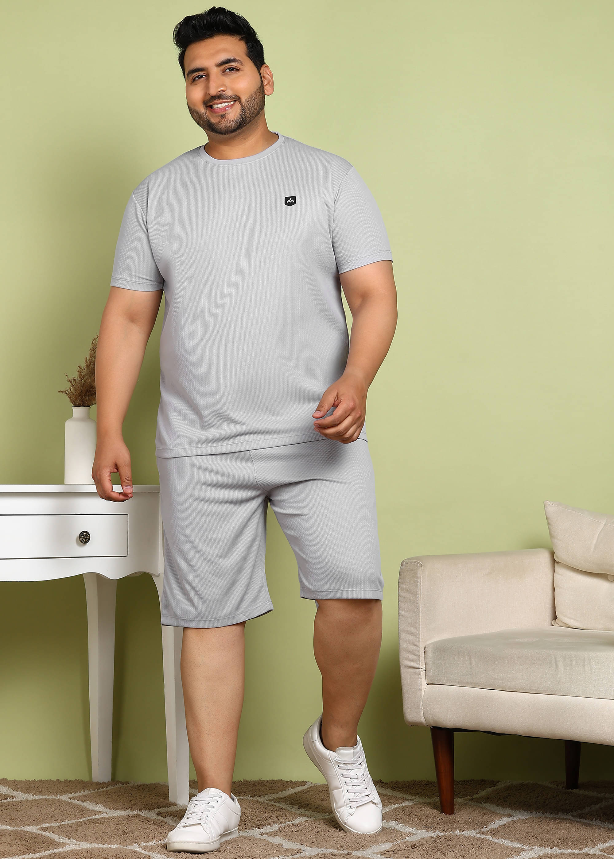     			ADWYN PETER Men's T-shirt With Shorts Co-Ords Set ( Pack of 1 , Grey )