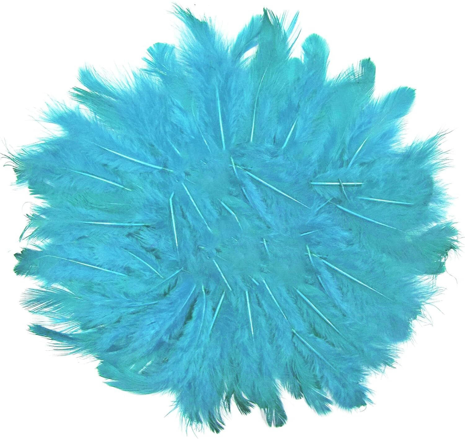     			ASIAN HOBBY CRAFTS Asan Hobby Crafts Natural Dyed Feathers Multi Size (Turquoise)