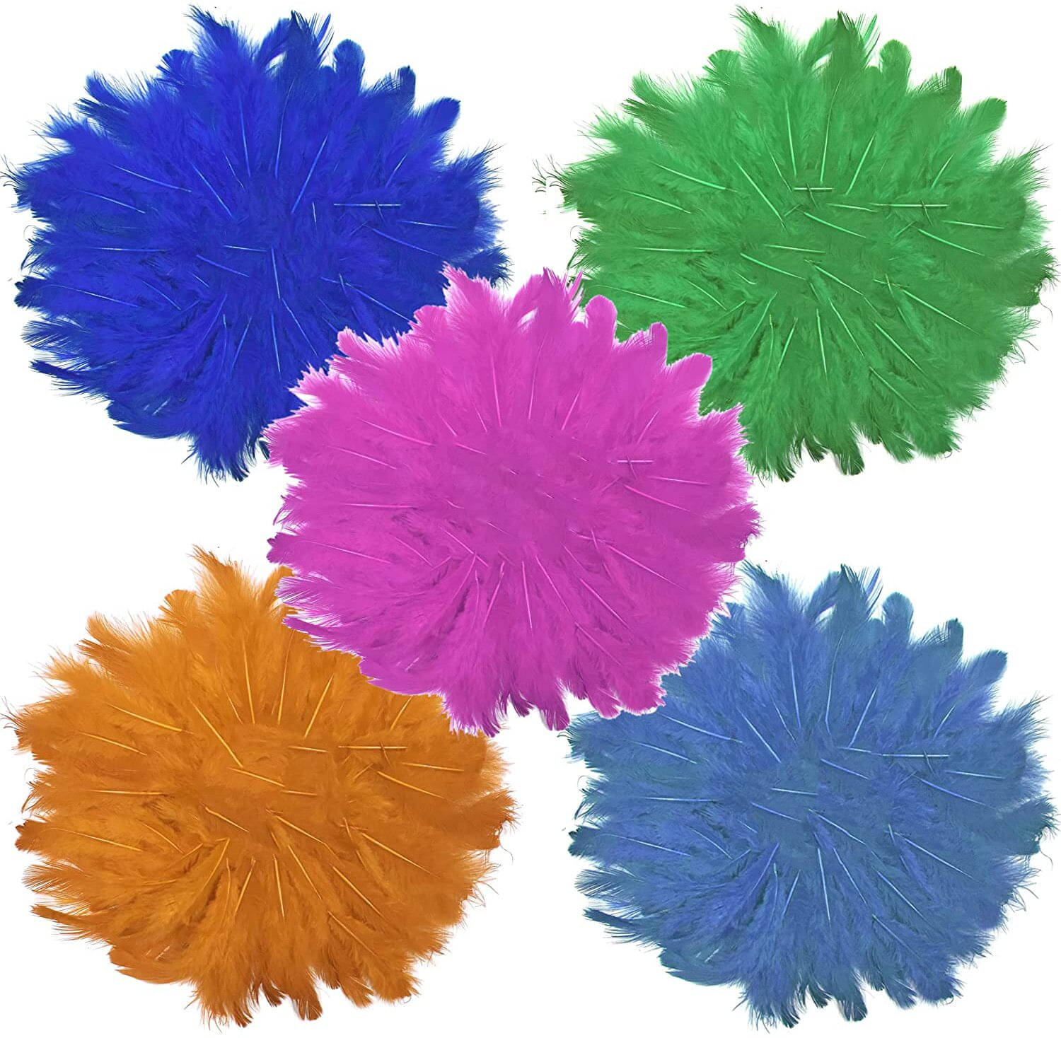     			ASIAN HOBBY CRAFTS Natural Dyed Feathers (Pack of 5 Different Color) 400 Pieces Approx, (Multi 5_B)