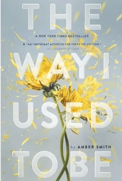 The Way I Used to Be ( Paperback, Smith Amber) By Smith Amber The Way I Used to Be ( Paperback, Smith Amber) By Smith Amber