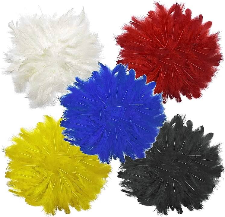     			ASIAN HOBBY CRAFTS Natural Dyed Feathers (Pack of 5 Different Color) 400 Pieces Approx,