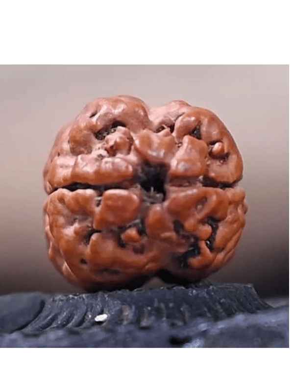     			NAVYAKASH Bead ( Pack of 1 )