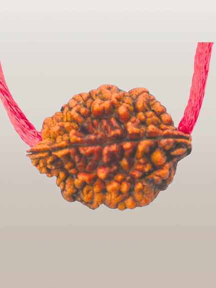     			NAVYAKASH Rudraksha Pendant With Thread ( Pack of 1 )