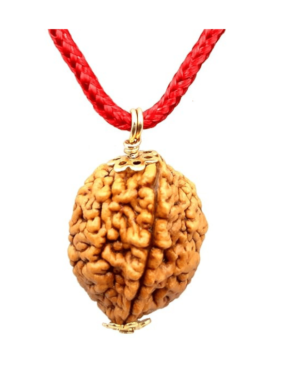     			NAVYAKASH Rudraksha Pendant With Thread ( Pack of 1 )