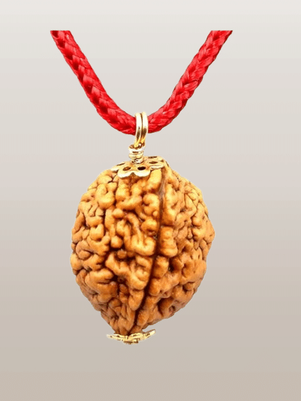 NAVYAKASH Rudraksha Pendant With Thread ( Pack of 1 ) NAVYAKASH Rudraksha Pendant With Thread ( Pack of 1 )