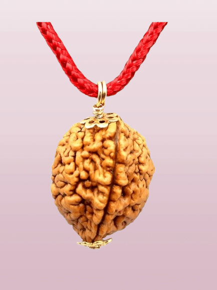 NAVYAKASH Rudraksha Pendant With Thread ( Pack of 1 ) NAVYAKASH Rudraksha Pendant With Thread ( Pack of 1 )