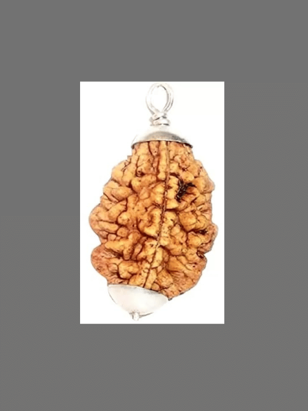     			NAVYAKASH CREATIONS Bead ( Pack of 1 )