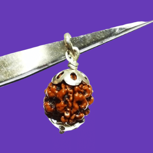     			NAVYAKSH Rudraksha Bead ( Pack of 1 )