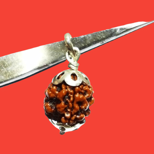     			NAVYAKSH Rudraksha Bead ( Pack of 1 )