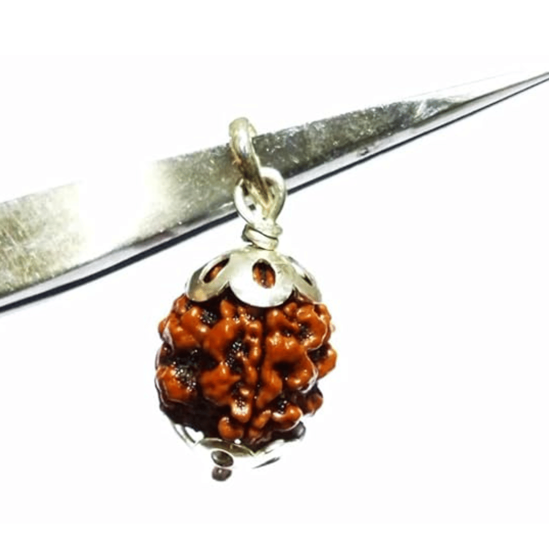     			NAVYAKSH Rudraksha Bead ( Pack of 1 )
