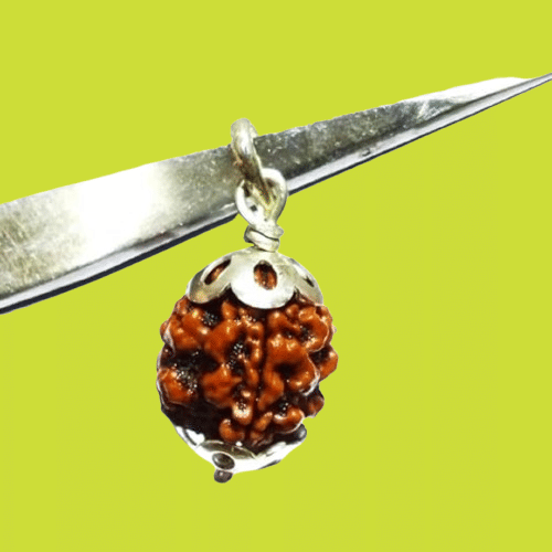    			NAVYAKSH Rudraksha Bead ( Pack of 1 )