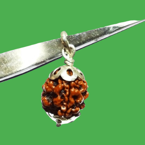     			NAVYAKSH Rudraksha Bead ( Pack of 1 )
