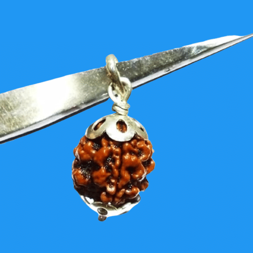     			NAVYAKSH Rudraksha Bead ( Pack of 1 )