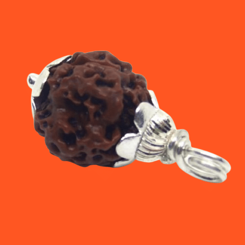    			NAVYAKSH Rudraksha Pendant ( Pack of 1 )