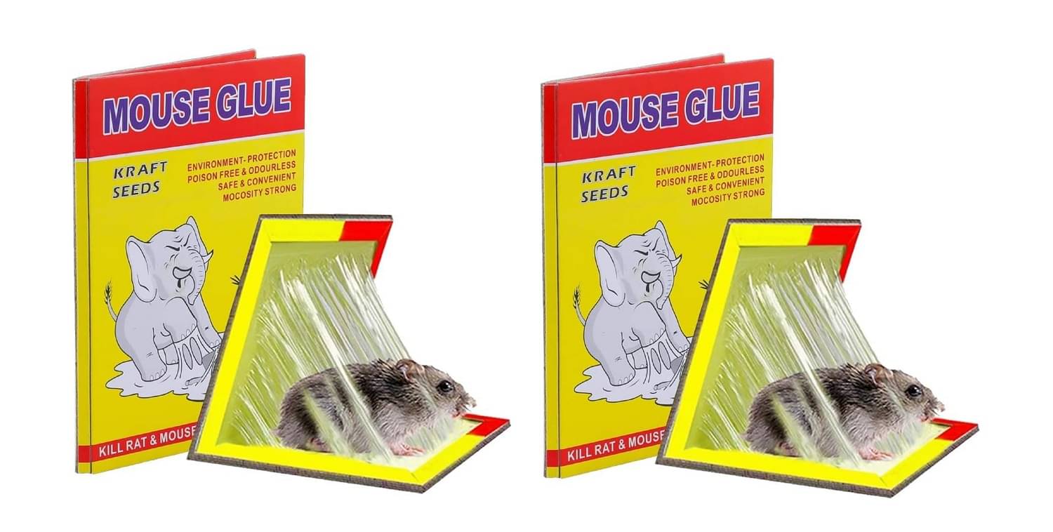     			Green Tales Rat Trap ( Pack of 2 )