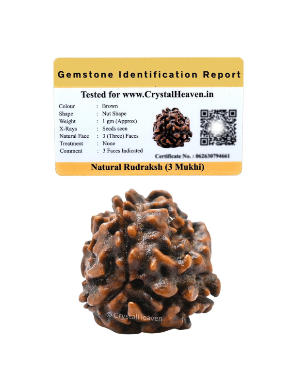     			NAVYAKSH Bead ( Pack of 1 )
