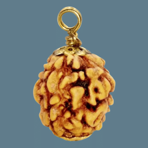     			NAVYAKSH Rudraksha Pendant ( Pack of 1 )