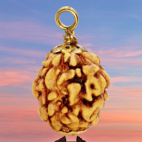     			NAVYAKSH Rudraksha Pendant ( Pack of 1 )