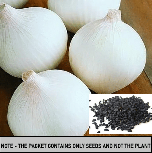 SEEDS EVOLUTION Organic White Onion Vegetable ( 50 Seeds ) SEEDS EVOLUTION Organic White Onion Vegetable ( 50 Seeds )