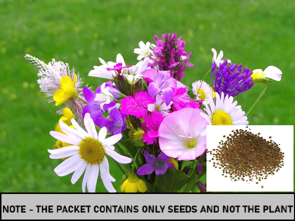 SEED EVOLUTION Mixed Flower ( 30 Seeds ) SEED EVOLUTION Mixed Flower ( 30 Seeds )