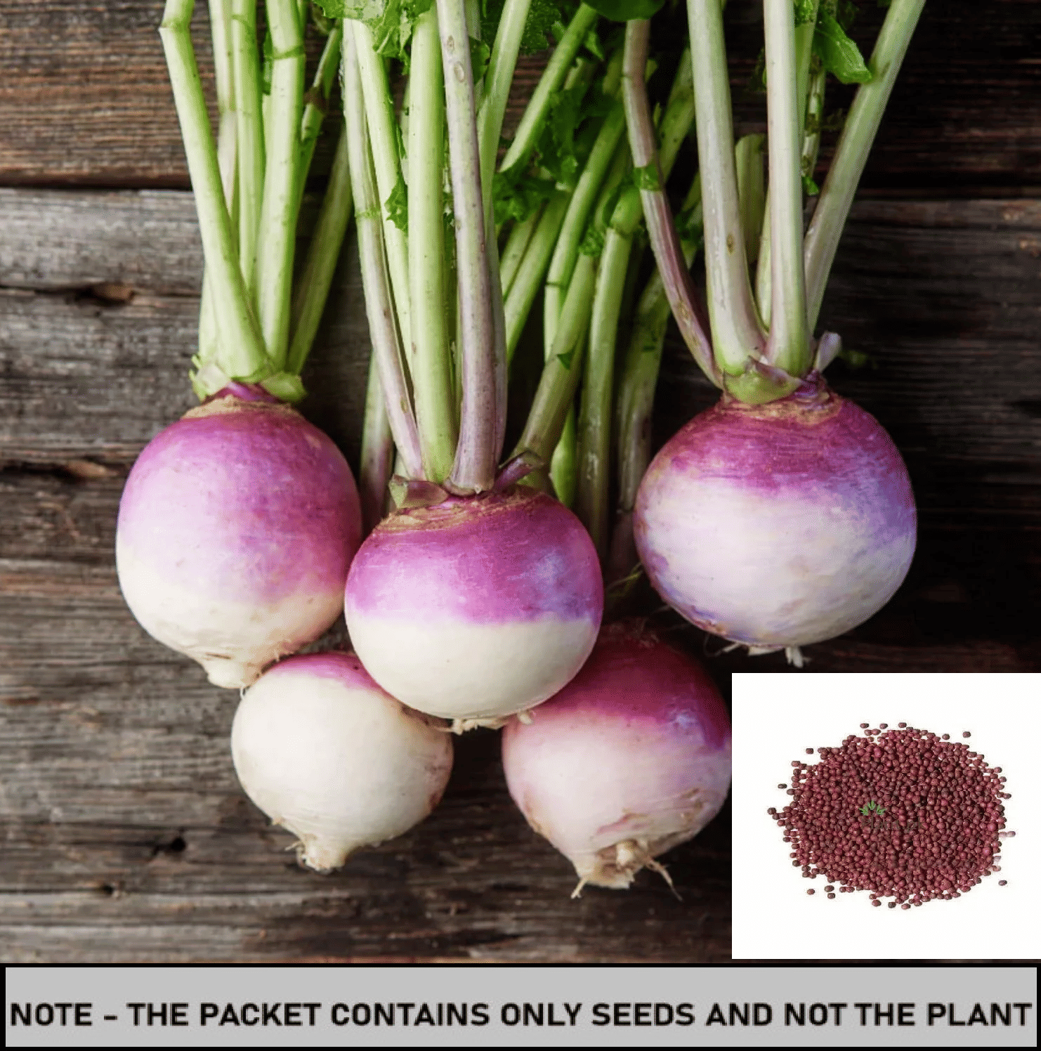 SEEDS EVOLUTION Turnip Vegetable ( 50 Seeds ) SEEDS EVOLUTION Turnip Vegetable ( 50 Seeds )