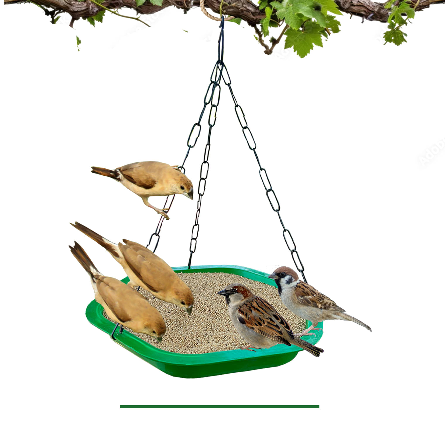     			Amijivdaya Bird Feeder Big Size Bowl