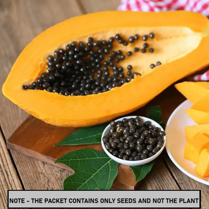 SEED EVOLUTION Papaya Vegetable ( 100 Seeds ) SEED EVOLUTION Papaya Vegetable ( 100 Seeds )