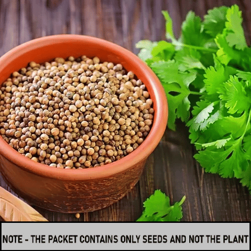 SEED EVOLUTION Coriander Vegetable ( 50 Seeds ) SEED EVOLUTION Coriander Vegetable ( 50 Seeds )