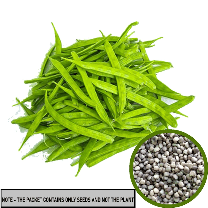     			SEED EVOLUTION Organic Cluster Beans Vegetable ( 50 Seeds )