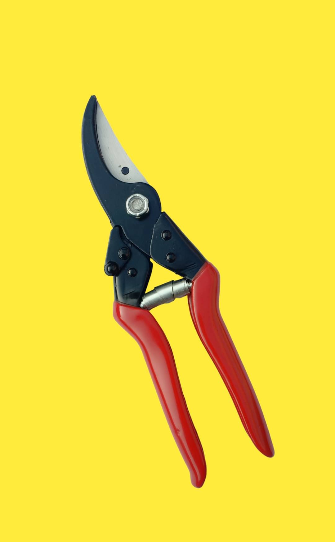 SAS TOOLS Garden Pruner ( Set of 1 ) SAS TOOLS Garden Pruner ( Set of 1 )