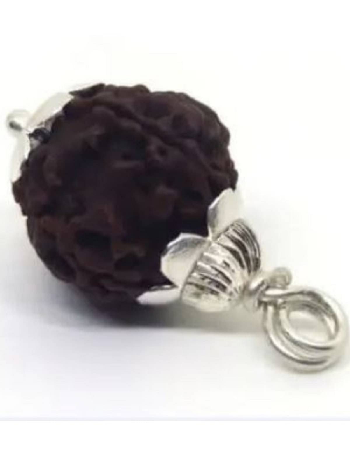 4 MUKHI RUDRAKSH12131213 Brown Religious Pendant Without Chain ( Pack of 1 ) 4 MUKHI RUDRAKSH12131213 Brown Religious Pendant Without Chain ( Pack of 1 )