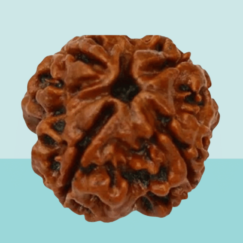     			NAVYAKSH Pooja Mala 1 ( Pack of 1 )
