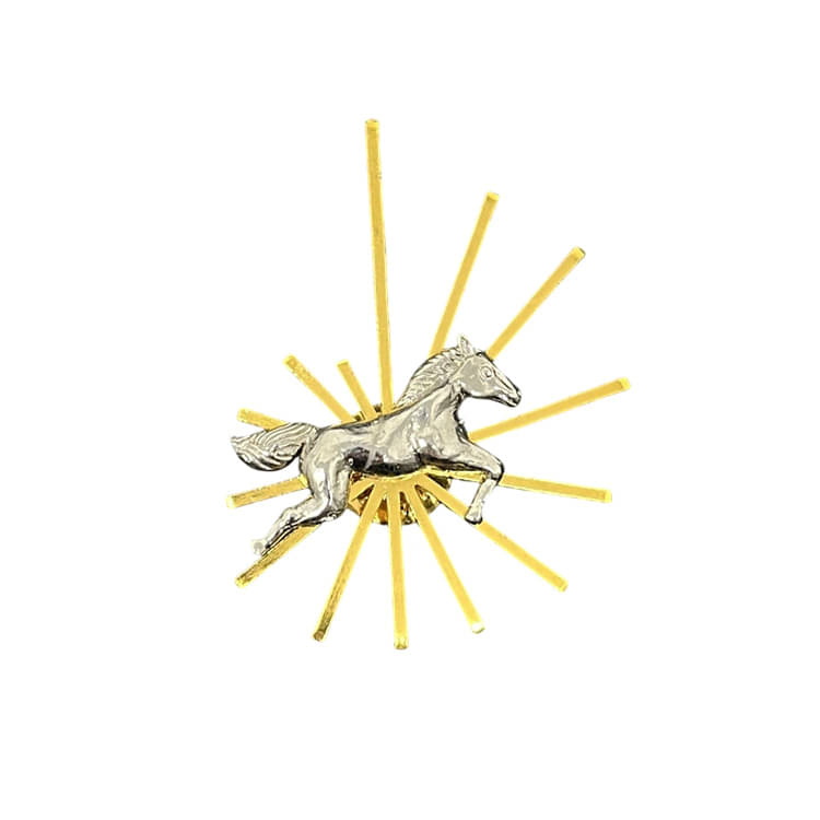 AAMIYA Gold Brooches & Saree Pins ( Pack of 1 ) AAMIYA Gold Brooches & Saree Pins ( Pack of 1 )