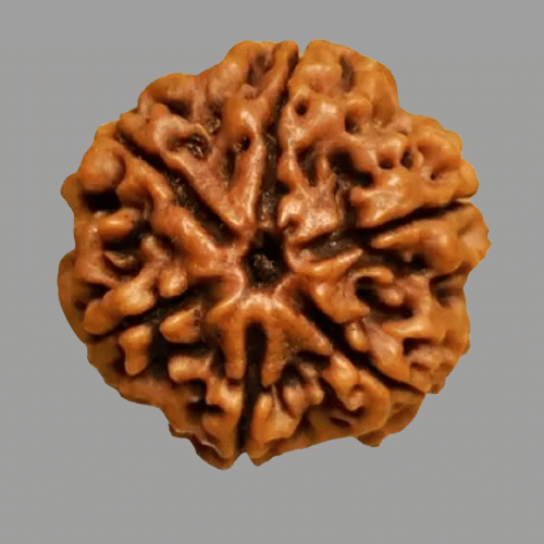     			NAVYAKSH Pooja Mala 1 ( Pack of 1 )