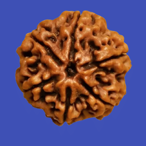     			NAVYAKSH Pooja Mala 2 ( Pack of 1 )