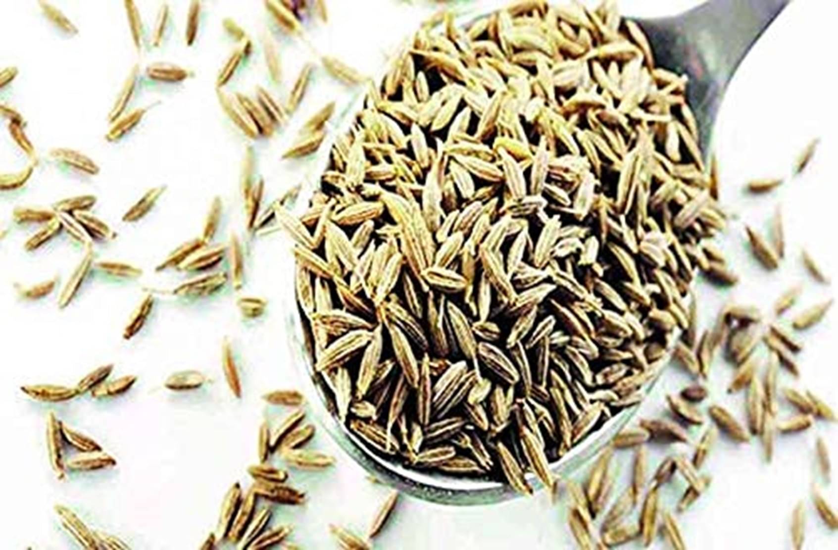 PMW Natural 50 gm     			PMW Natural 50 gm